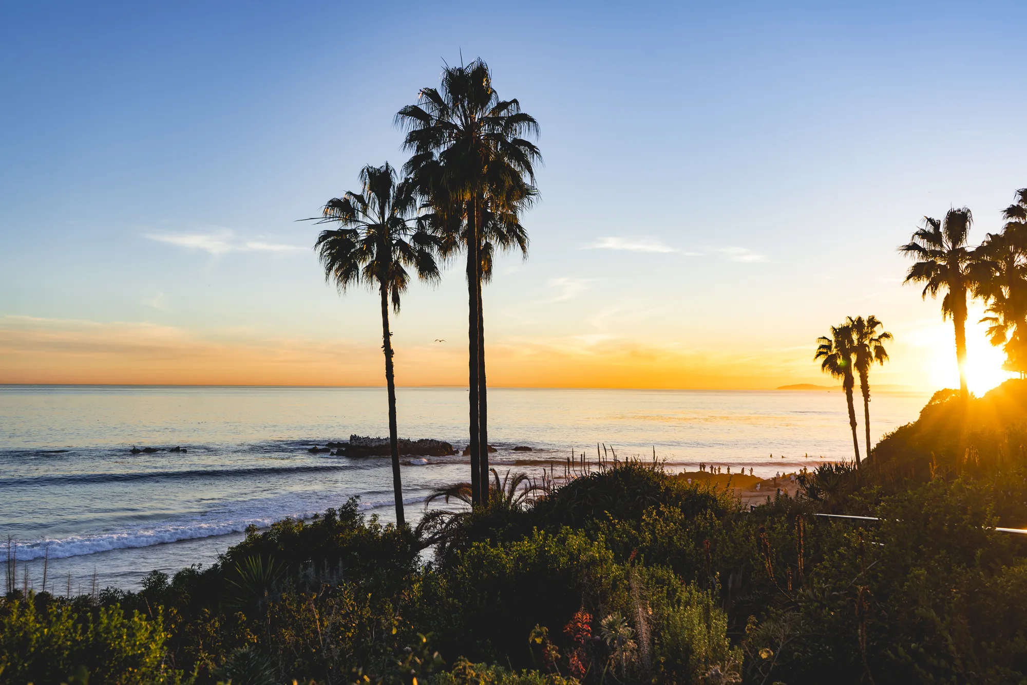 Palm trees above the Pacific at sunset in Laguna Beach